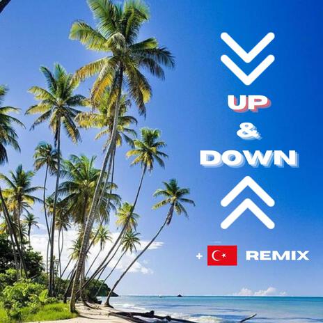 UP & DOWN (TURKISH FOLK MUSIC REMIX) | Boomplay Music