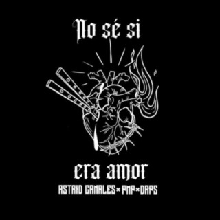 No sé si era amor