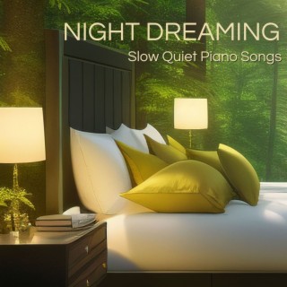 Night Dreaming: Slow Quiet Piano Songs for Deep Sleeping and Dreaming