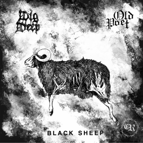 Black Sheep | Boomplay Music