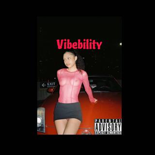 vibebility