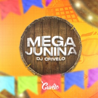 MEGA JUNINA DE BH