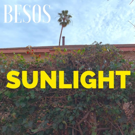 Sunlight | Boomplay Music