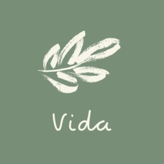 Vida lyrics | Boomplay Music