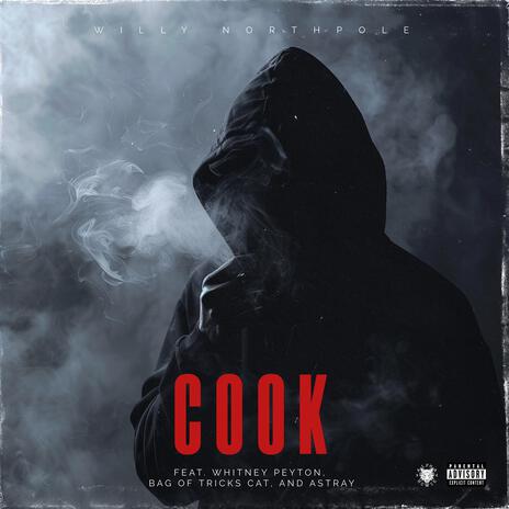 Cook ft. Whitney Peyton, Astray & Bag Of Tricks Cat | Boomplay Music