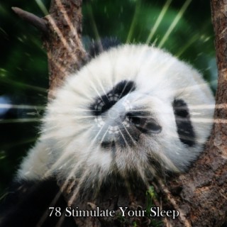 78 Stimulate Your Sleep