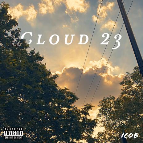 Cloud 23 ft. Comish