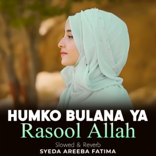 Humko Bulana Ya Rasool Allah Lofi