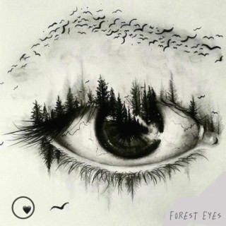 Forest Eyes