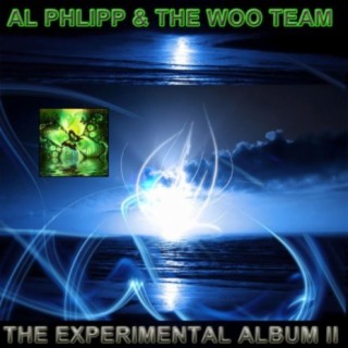 The Experimental Album II