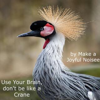 Use Your Braln, don't be like a Crane