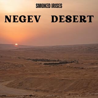 Negev Desert