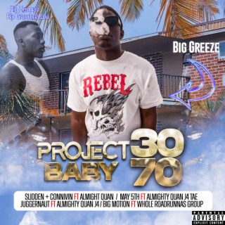 Project baby 3070