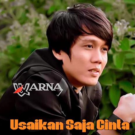 Usaikan Saja Cinta | Boomplay Music