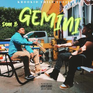 Gemini Tape