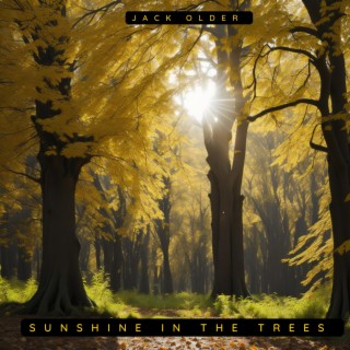 Sunshine in the trees