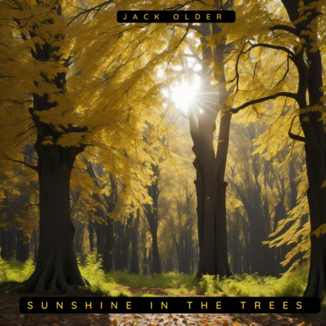 Sunshine in the trees | Boomplay Music