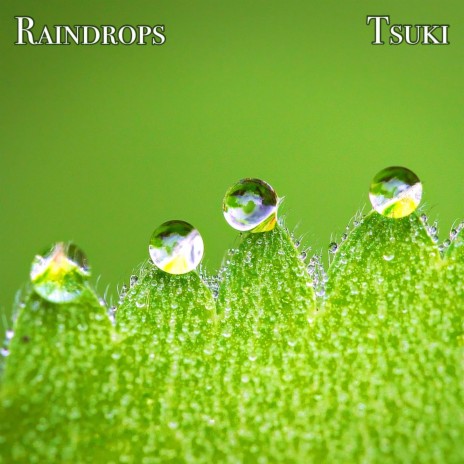 Raindrops