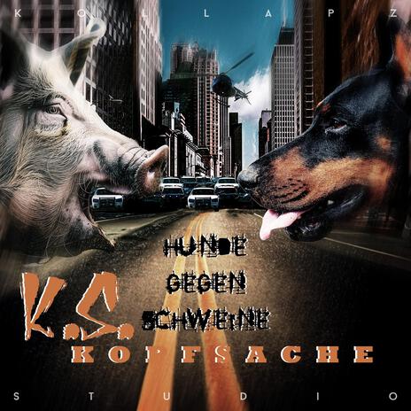 Hunde gegen Schweine | Boomplay Music