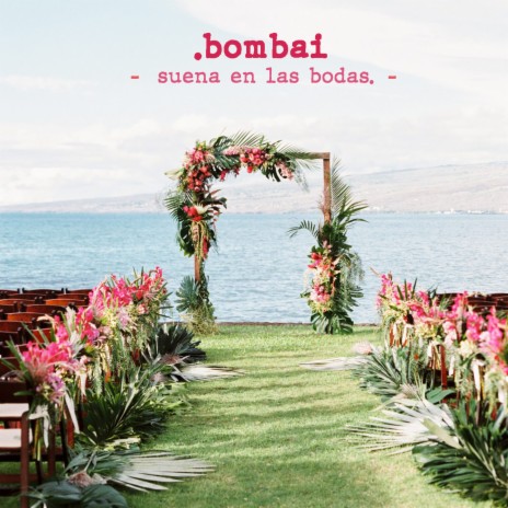 Suena en las Bodas | Boomplay Music