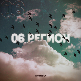 Регион 06