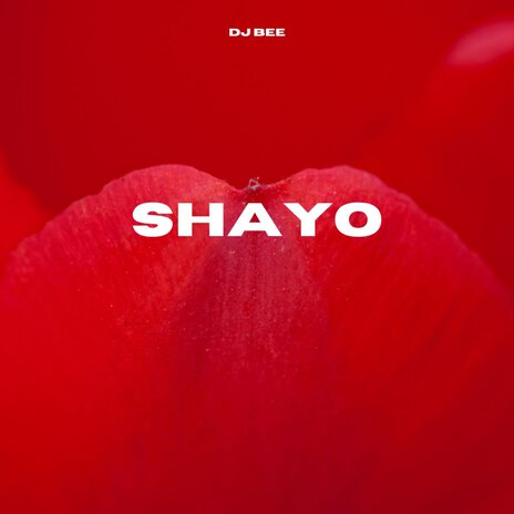 Shayo | Boomplay Music