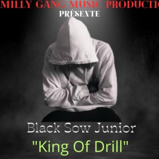 Black Sow Junior