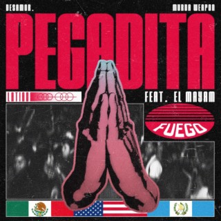 PEGADITA