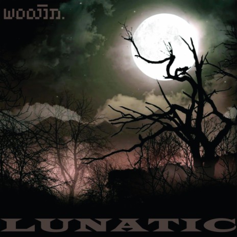 Lunatic | Boomplay Music