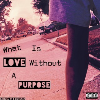 What is Love Without a Purpose?