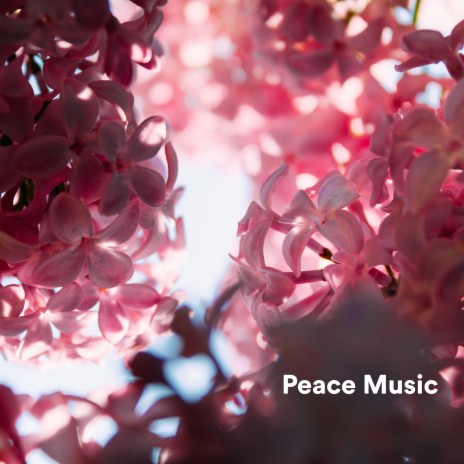 Coming Back Home ft. Solfeggio Sound Bath & Relaxing Music | Boomplay Music