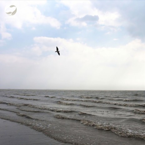 Soothing Shoreline Symphony with Birds ft. Zambezi Sounds & Soothing Ambient | Boomplay Music
