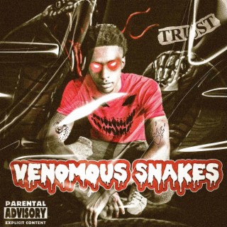 Venomous Snakes