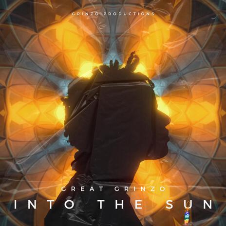 Into The Sun | Boomplay Music