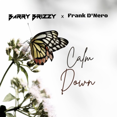 Calm Down ft. Frank D'Nero | Boomplay Music