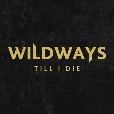 Till I Die | Boomplay Music