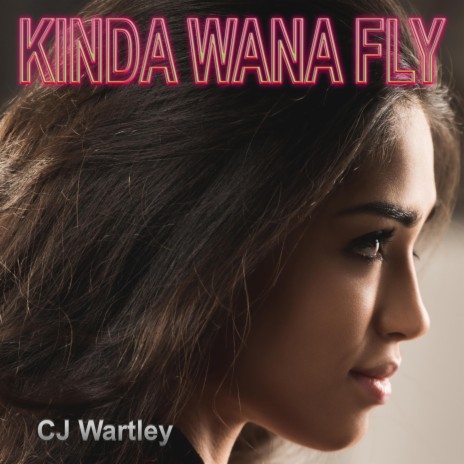 Kinda Wana Fly | Boomplay Music