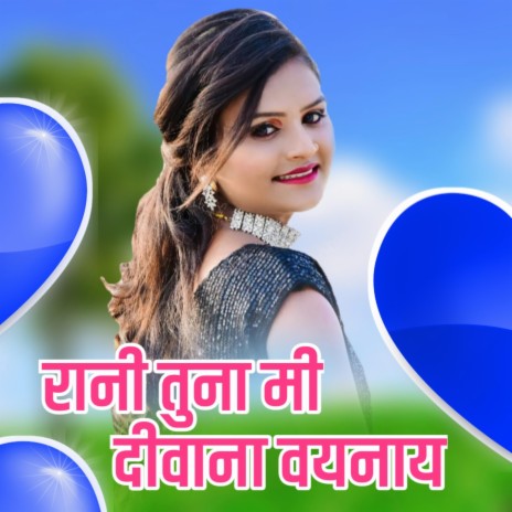 Rani Tuna Diwana Vaynay | Boomplay Music