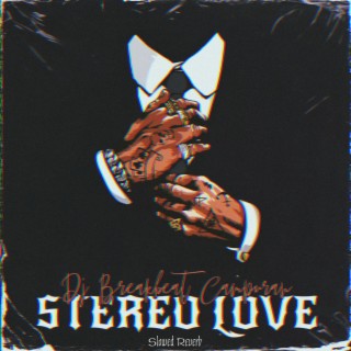 DJ Stereo Love x Breakbeat Campuran (Slowed + Reverb)