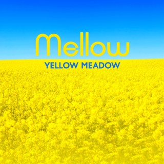 Mellow Yellow Meadow