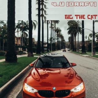 Big the Cat