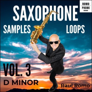 Saxophone Samples and Loops Vol 3. D minor