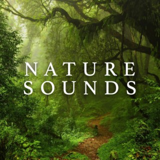 Nature Sounds