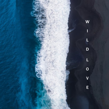 Wild Love | Boomplay Music