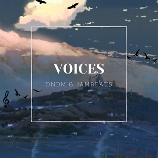 Voices