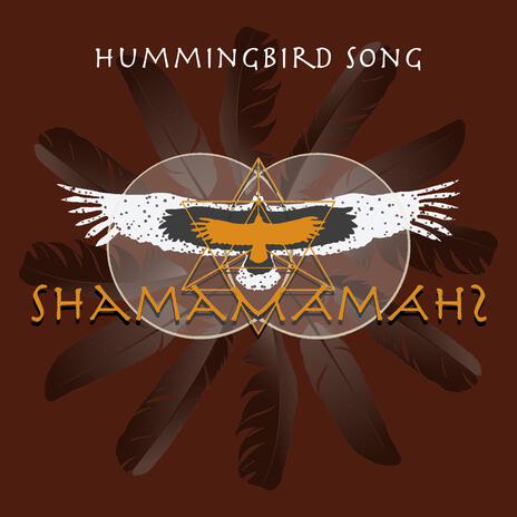 Hummingbird Song | Boomplay Music