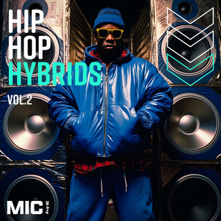 Hip Hop Hybrids Vol. 2