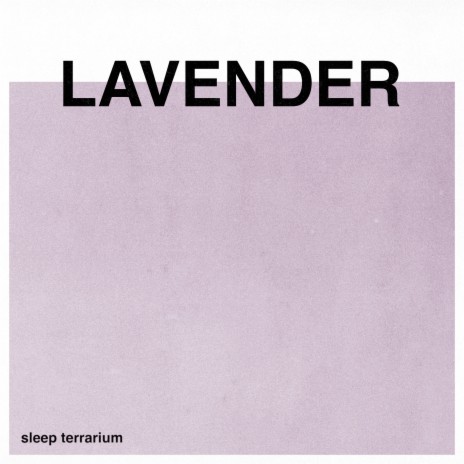 Lavender | Boomplay Music