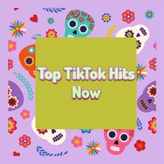 Top TikTok Hits Now