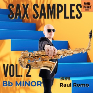 Sax Samples Vol 2. Bm